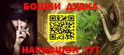 крисы Обь